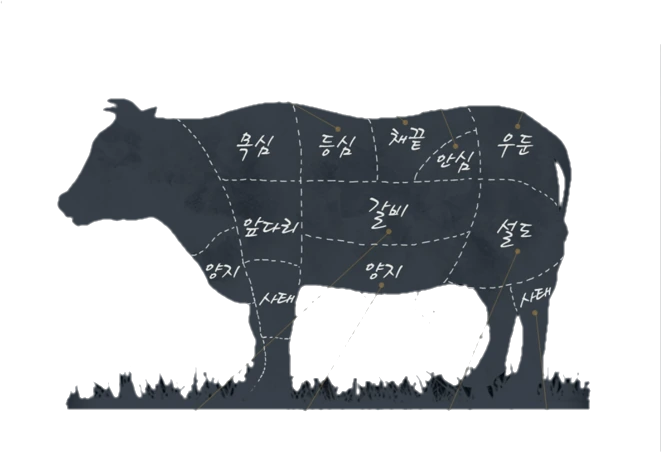 목심, 등심, 채끝, 안심, 설도, 사태 등 소 부위를 표시한 중앙푸드 브로셔 그림